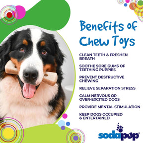 Mod Bone Power Chewer Dog Toy - Southern Agriculture 