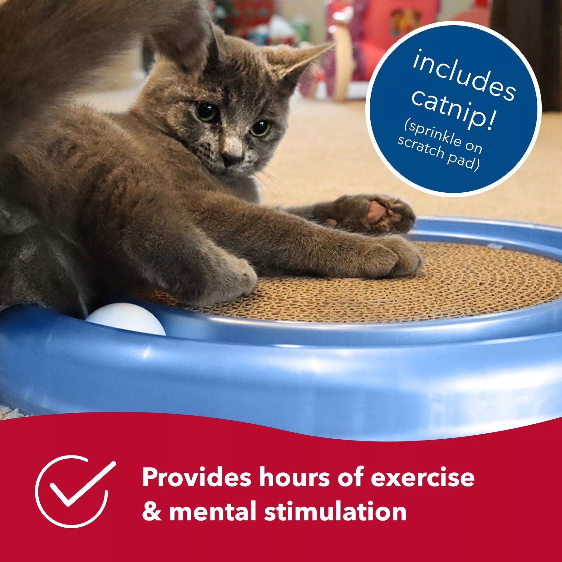 Bergan - Turbo Scratcher Cat Toy - Southern Agriculture 