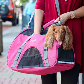 Bergan - Pet Comfort Carrier - Southern Agriculture 