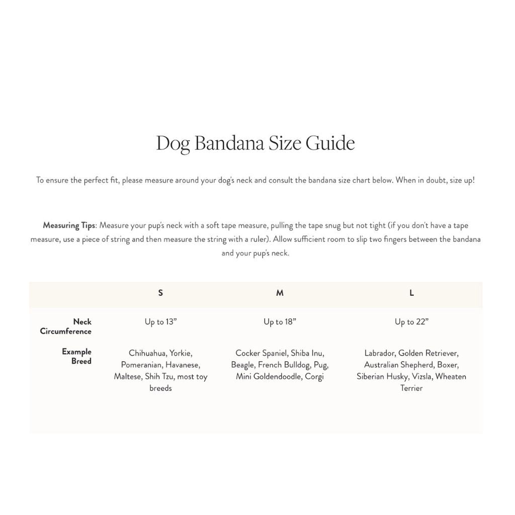 The Foggy Dog - Patchwork Quilt Summer Dog Collar
