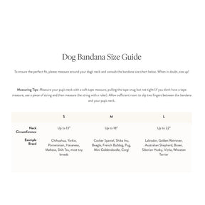 The Foggy Dog - Patchwork Quilt Summer Dog Collar