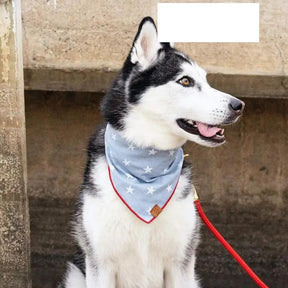 Foggy Dog - Liberty Dog Bandana
