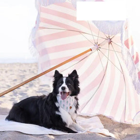 The Foggy Dog - Seahorse Bandana