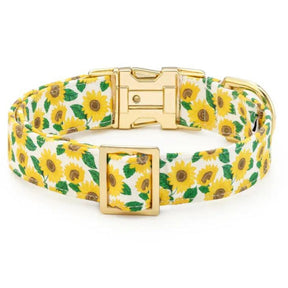 The Foggy Dog - Dog Collar You Are My Sunshine