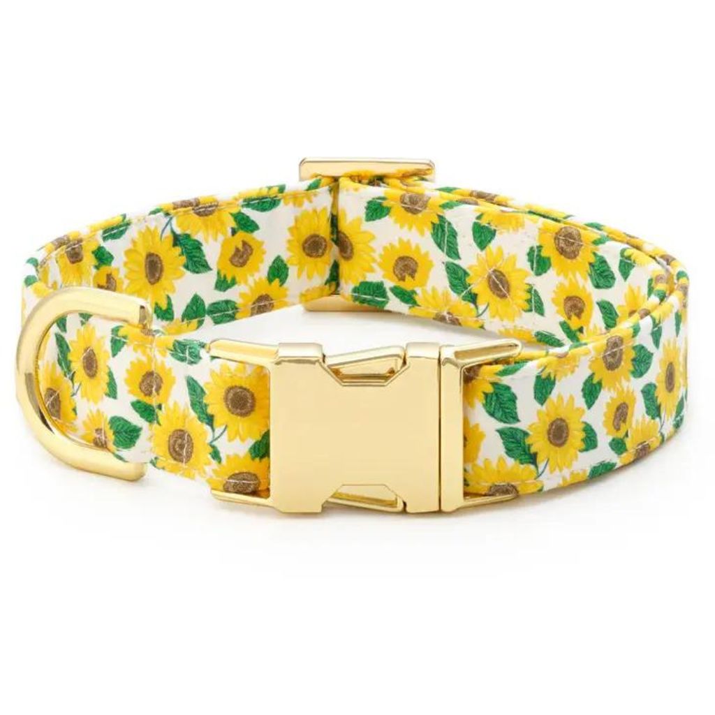 The Foggy Dog - Dog Collar You Are My Sunshine