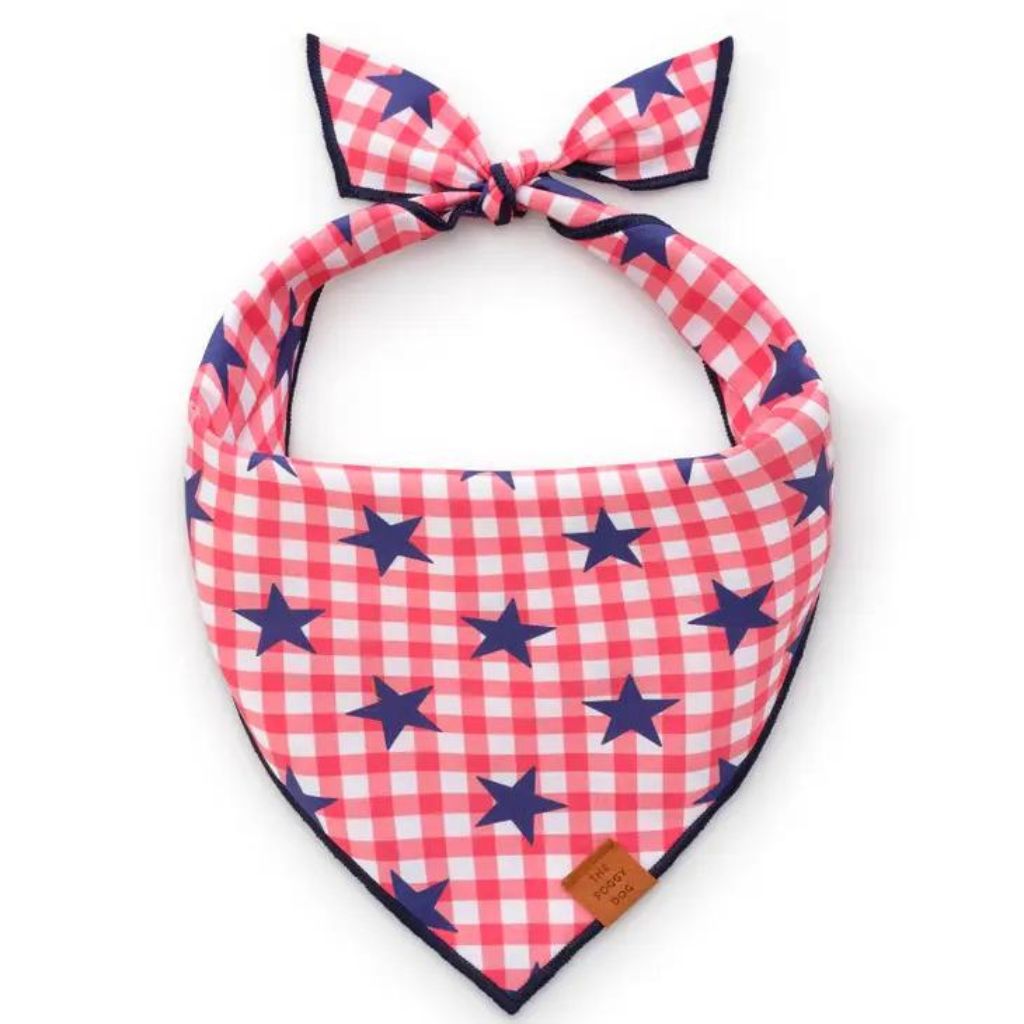 The Foggy Dog - Bandana Stars & Checks