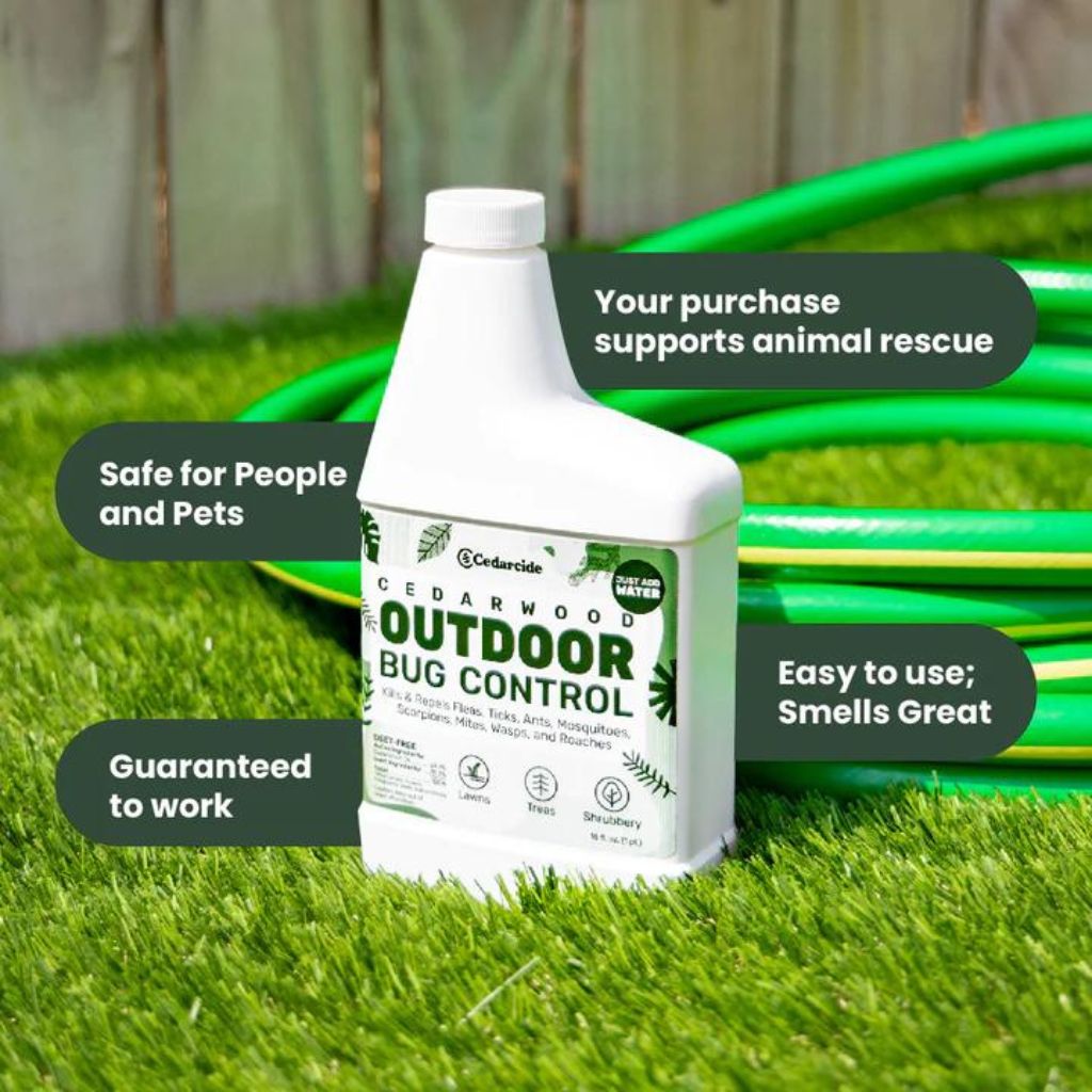 Cedarcide - Outside Bug Control Pint