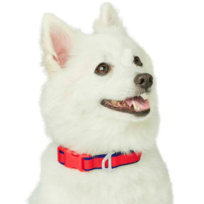 Blueberry Pet - Contrast Stripe Red/Navy Dog Collar