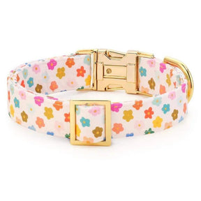 The Foggy Dog - Rainbow Flower Dog Collar