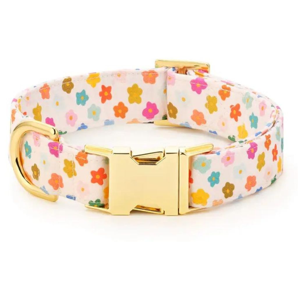 The Foggy Dog - Rainbow Flower Dog Collar