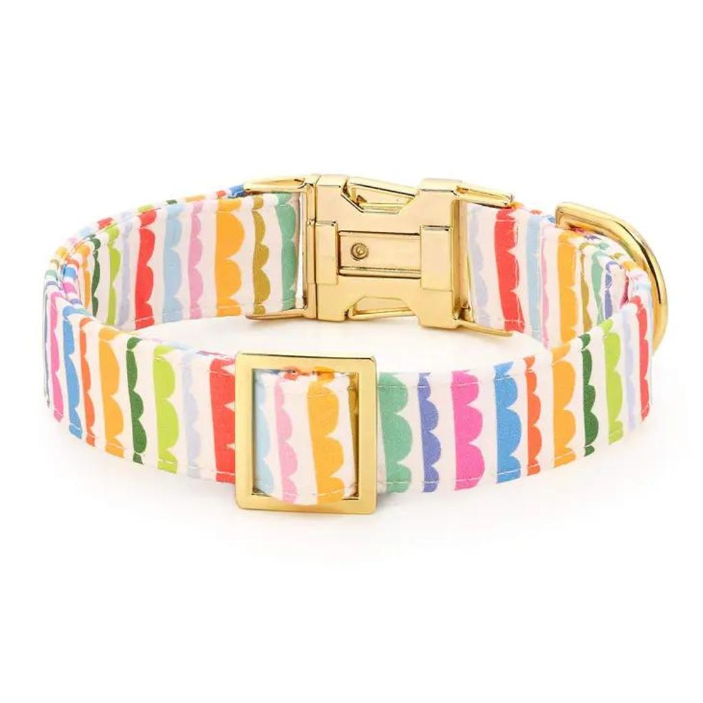 The Foggy Dog - Scallop Stripe Dog Collar