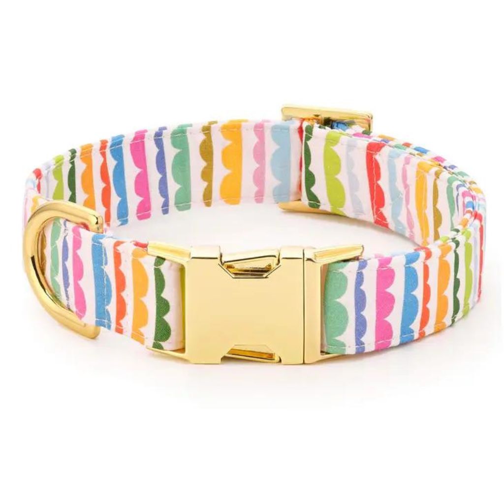 The Foggy Dog - Scallop Stripe Dog Collar