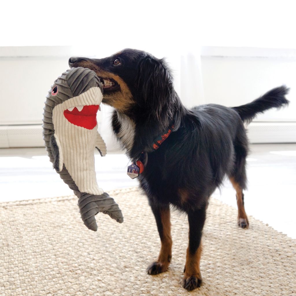 KONG - Cutesea Ruffle Shark - Southern Agriculture 