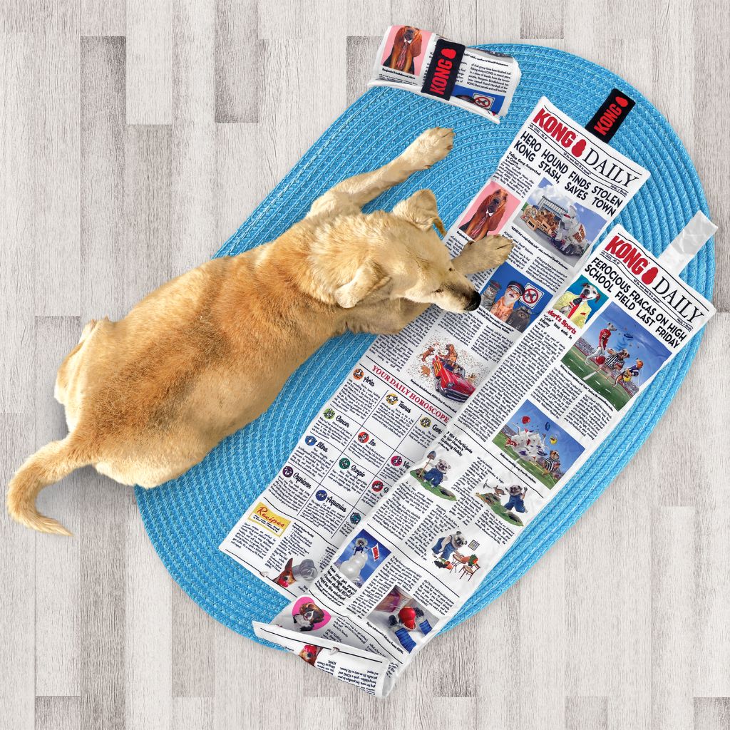 KONG - Newspaper Dog Toy - Southern Agriculture 