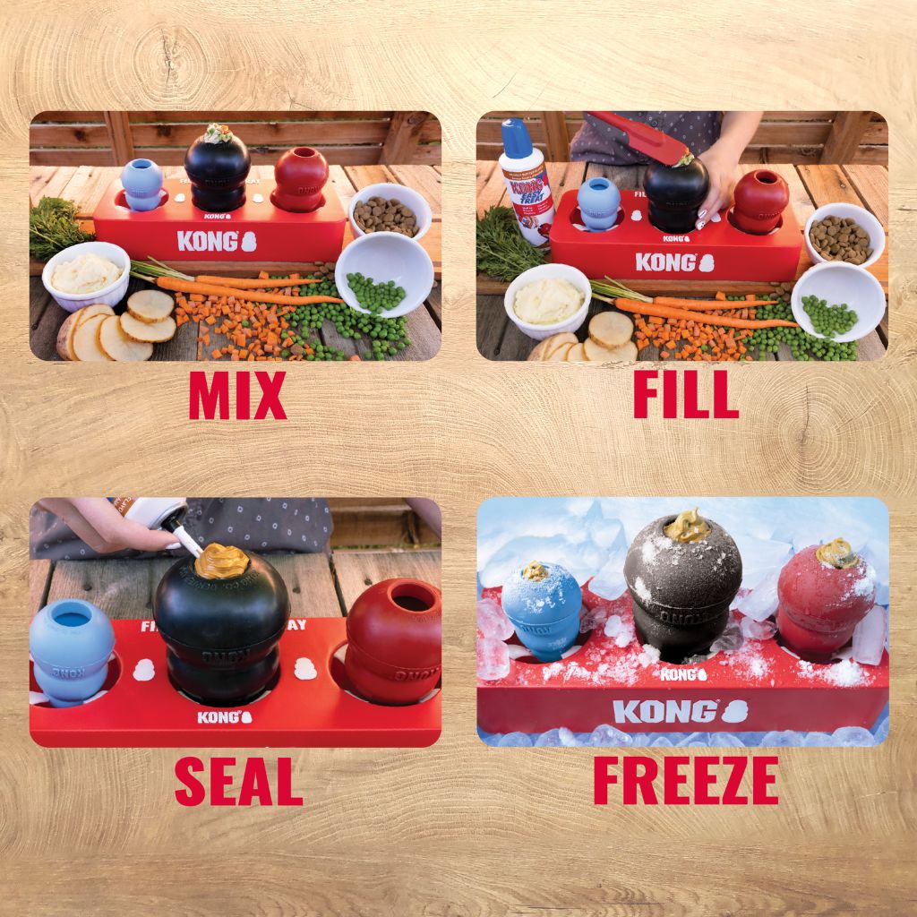 KONG - Freeze or Fill Tray