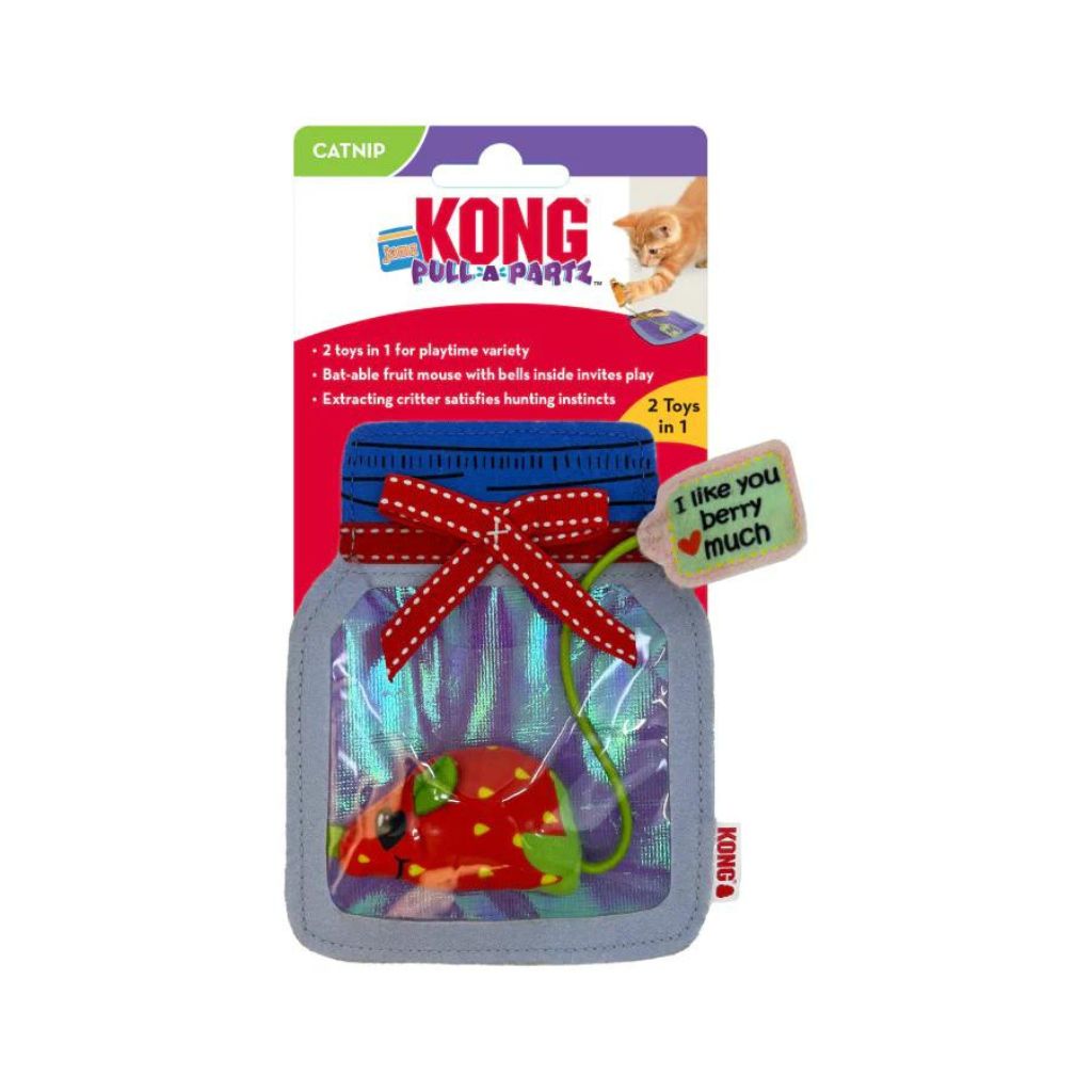 KONG - Pull-A-Partz Jamz - Fabric Jar