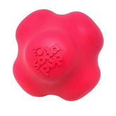 SodaPup - Crazy Bounce, Retrieving, and Chew Dog Toy