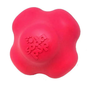 SodaPup - Crazy Bounce, Retrieving, and Chew Dog Toy