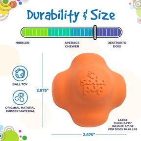 SodaPup - Crazy Bounce, Retrieving, and Chew Dog Toy
