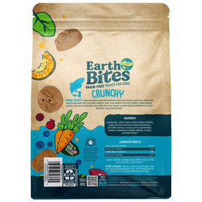 Earthborn Holistic Salmon Flavored Crunchy Dog Treats - Southern Agriculture 