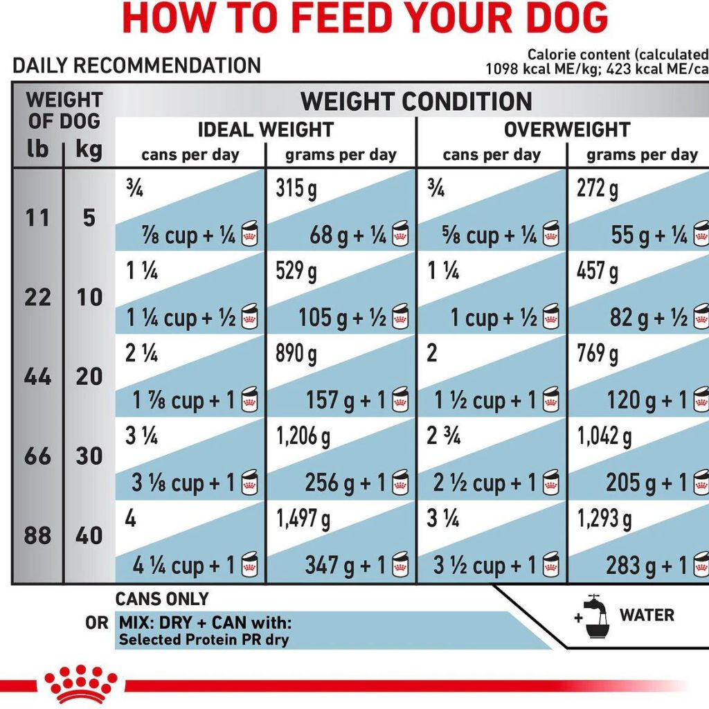 Royal Canin Veterinary Diet - Selected Protein PR Dog Can 13.5oz - Southern Agriculture 