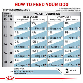 Royal Canin Veterinary Diet - Selected Vegetarian Dog Can 13.5oz