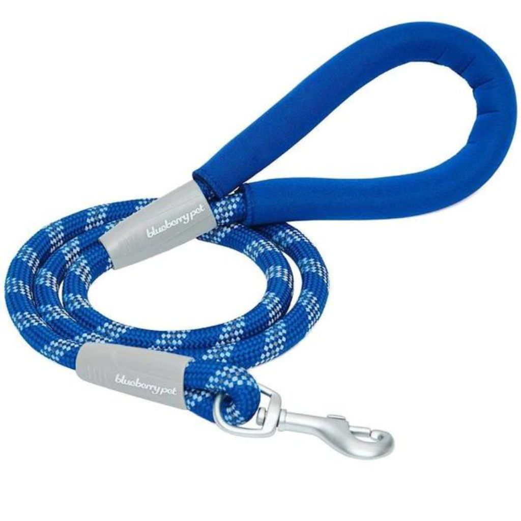 Blueberry Pet - Neoprene Handle Rope Dog Leash in Diagonal Stripe