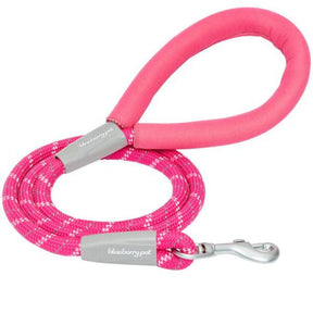 Blueberry Pet - Neoprene Handle Rope Dog Leash in Diagonal Stripe
