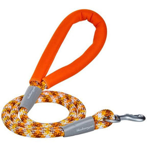 Blueberry Pet - Neoprene Handle Rope Dog Leash in Diagonal Stripe