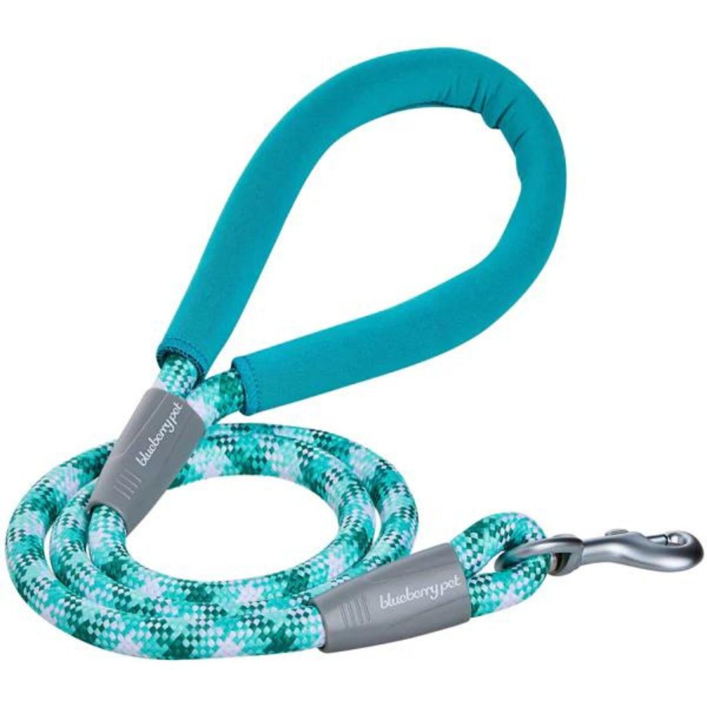 Blueberry Pet - Neoprene Handle Rope Dog Leash in Diagonal Stripe