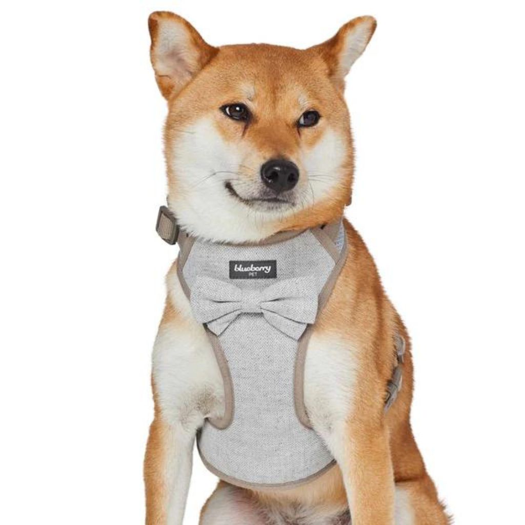 Blueberry Pet - Greyish Beige | Textured Tweed Dog Harness Vest