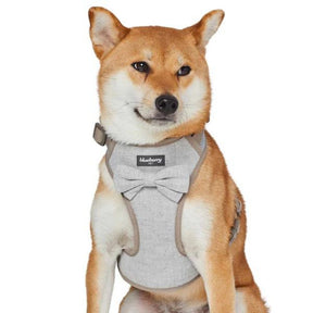 Blueberry Pet - Greyish Beige | Textured Tweed Dog Harness Vest