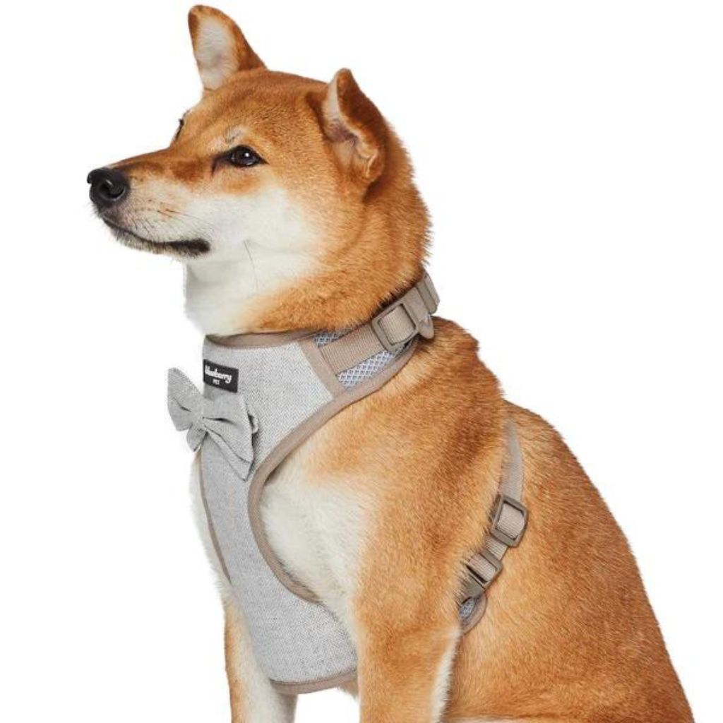 Blueberry Pet - Greyish Beige | Textured Tweed Dog Harness Vest