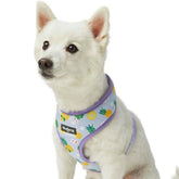 Blueberry Pet - Pineapple | Zesty Fruit Dog Harness Vest