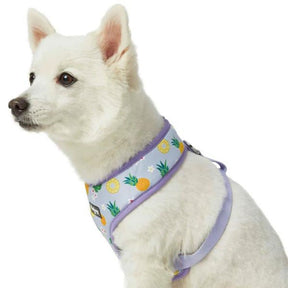 Blueberry Pet - Pineapple | Zesty Fruit Dog Harness Vest