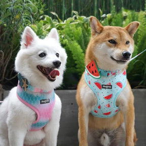 Blueberry Pet - Slices of Watermelon | Zesty Fruit Dog Harness Vest