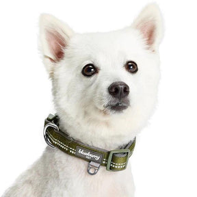 Blueberry Pet - Olive Green | 3M Reflective Neoprene Padded Dog Collar