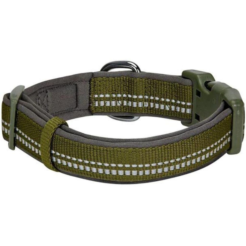 Blueberry Pet - Olive Green | 3M Reflective Neoprene Padded Dog Collar