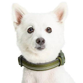 Blueberry Pet - Olive Green | 3M Reflective Neoprene Padded Dog Collar