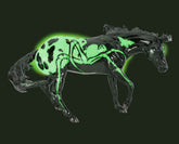 Breyer - Halloween Horse 2025 Arachne