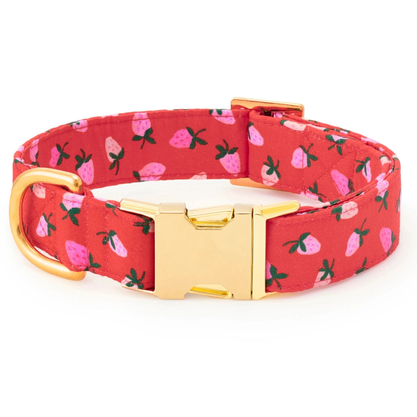 The Foggy Dog - Dog Collar Berry Sweet