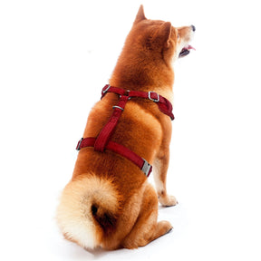 Little Earth Productions - Oklahoma Sooners Velvet Pet Harness