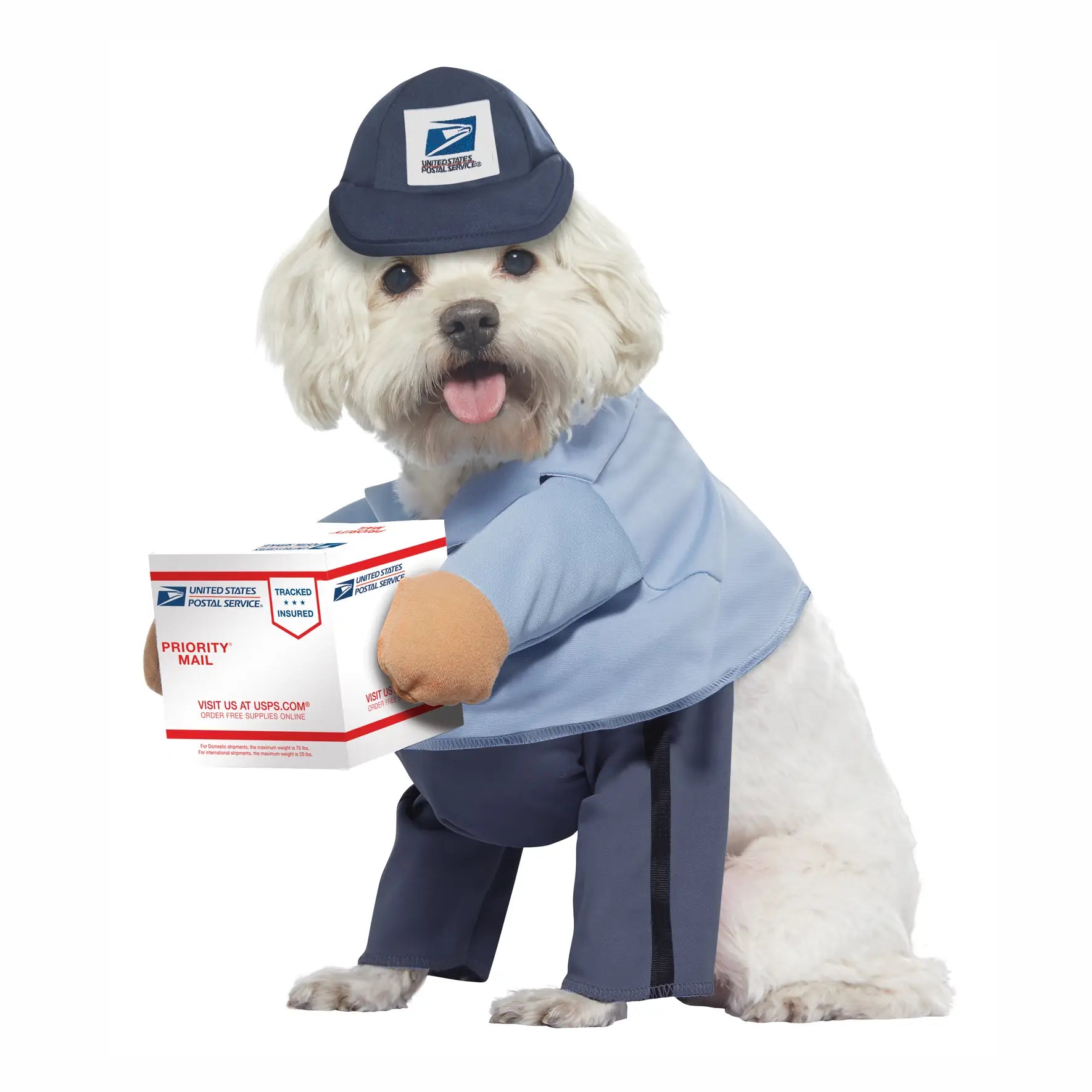 California Costumes - Halloween Costume U.S. Mail Carrier Pup
