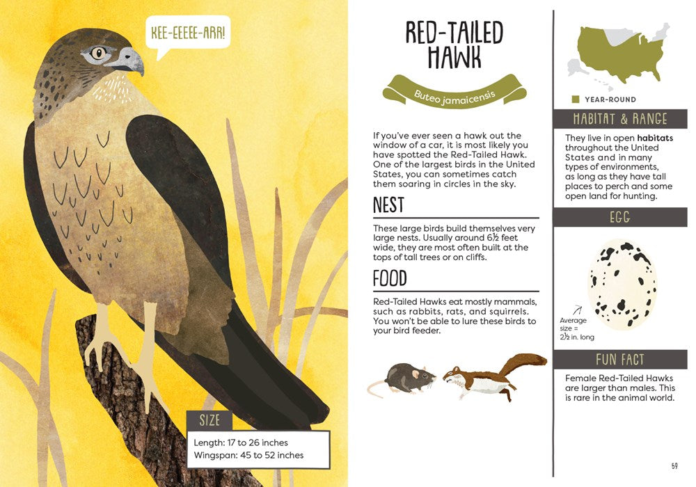 Gibbs Smith - Kid's Guide to Backyard Birds