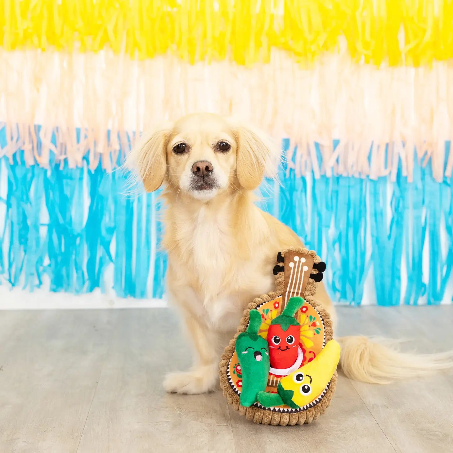 Petshop by Fringe Studio - Fiesta Till You Siesta Dog Toy - Southern Agriculture 