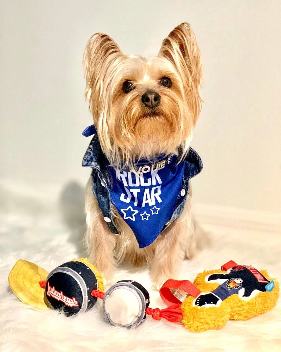 Parisian Pet - Dog Bandana "Rockstar" - Southern Agriculture 