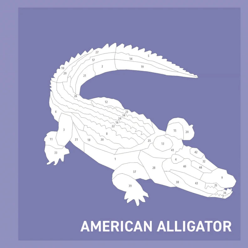 Wellspring- Activity Book - My Sticker Paintings: Reptiles