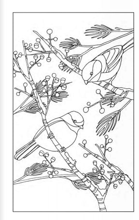 Wellspring- Coloring Book - Color Yultide
