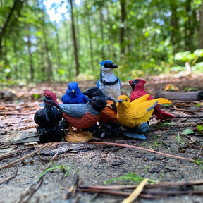 Safari Ltd - Toob Backyard Birds