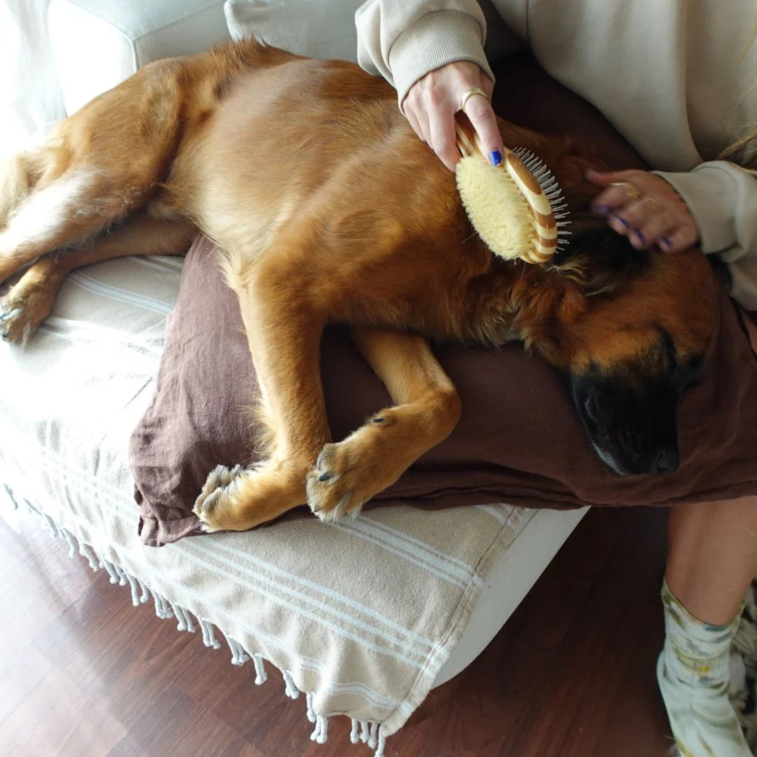 Tilley + Me - Bamboo Two-Sided Bristle and Wire Pet Brush